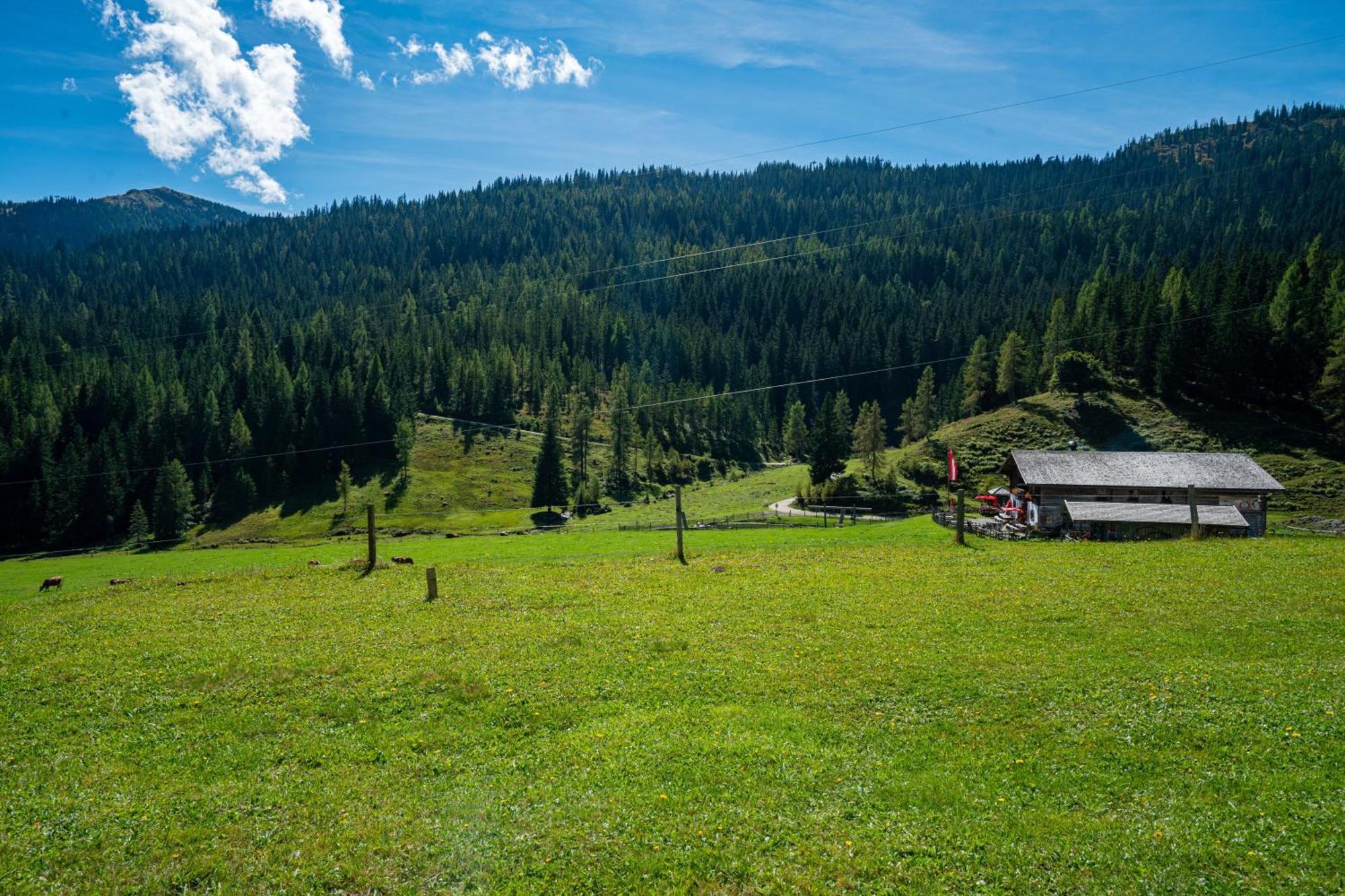Mittereggalm Hotel Mühlbach am Hochkönig Kültér fotó